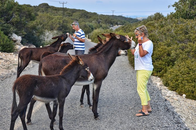 PRIVATE KARPAZ TOUR From Kyrenia - Worth The Stay