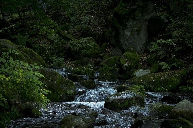 Private Karuizawa, Nagano Tour - Bilingual Chauffeur - Customization Options