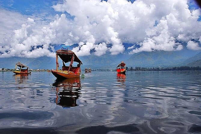Private Kashmir Family 7-Day Tour - Inclusions