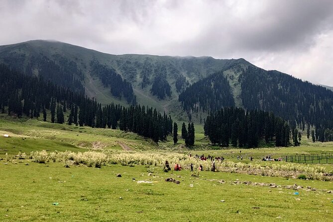 Private Kashmir Family 7-Day Tour - Exclusions