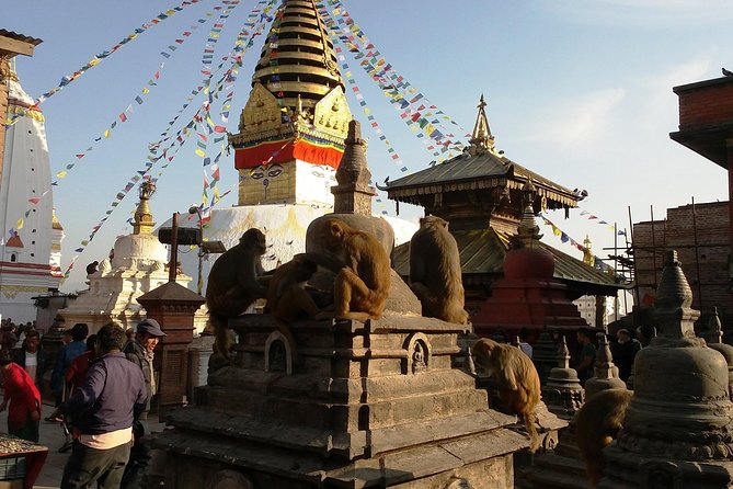 Private Kathmandu Sightseeing Tour 4 UNESCO World Heritage Sites - Pickup Information