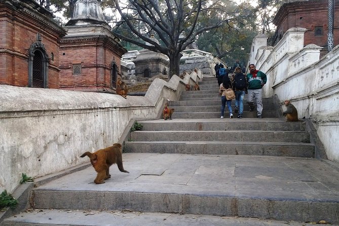 Private Kathmandu Sightseeing Tour 4 UNESCO World Heritage Sites - Exploring the UNESCO Sites