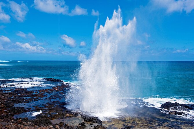 Private Kauai Island Tour-Featuring the Waimea Canyon - Transportation and Amenities