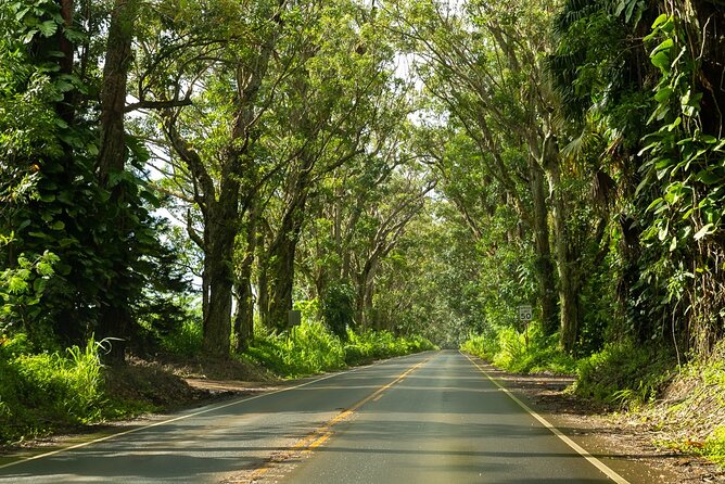 Private Kauai Island Tour-Featuring the Waimea Canyon - Pickup Locations and Details