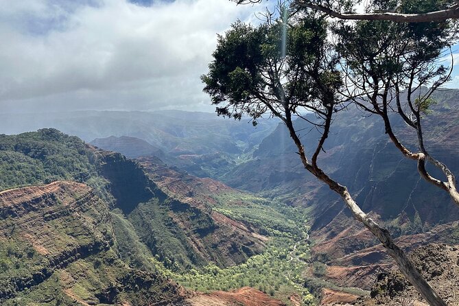 Private Kauai Island Tour-Featuring the Waimea Canyon - Cancellation Policy
