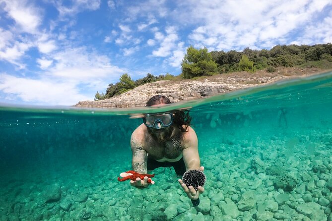Private Kayak Tour: Explore the Caves and Turquoise Bays in Pula - Safety Gear and Training