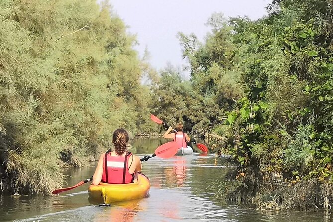 Private Kayak Tour in the Venetian Lagoon - Pricing and Inclusions
