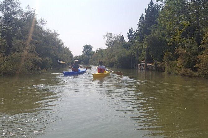 Private Kayak Tour in the Venetian Lagoon - Reviews and Feedback
