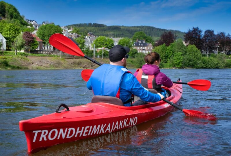 Private Kayak Trip Down the Nidelva in Trondheim - Meeting Point and Transportation