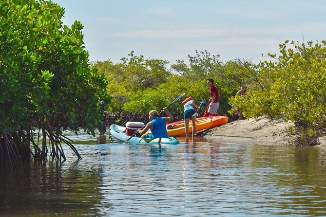 Private Kayaking Adventure Around the Mangroves and La Paz Bay - Meeting Point and Start Time