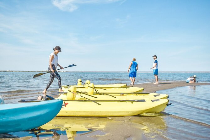 Private Kayaking Adventure Around the Mangroves and La Paz Bay - Kayaking in the Mangroves