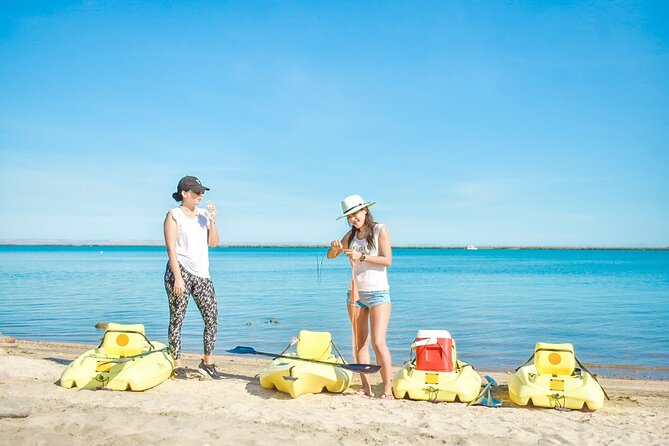 Private Kayaking Adventure Around the Mangroves and La Paz Bay - Feedback and Reviews