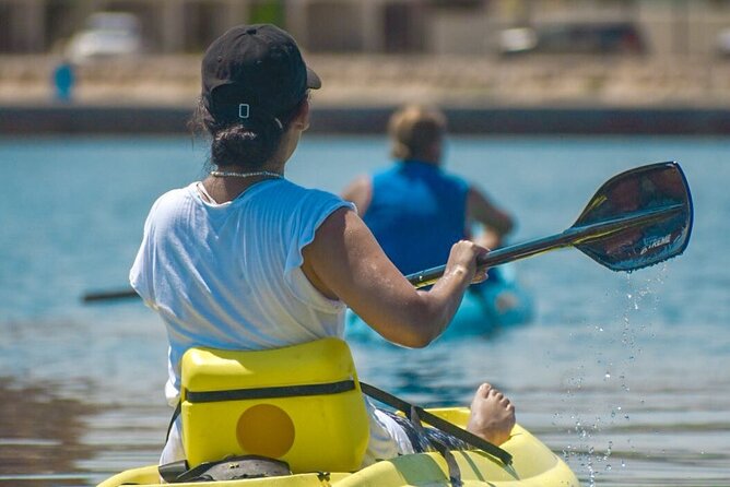 Private Kayaking Adventure Around the Mangroves and La Paz Bay - Frequently Asked Questions