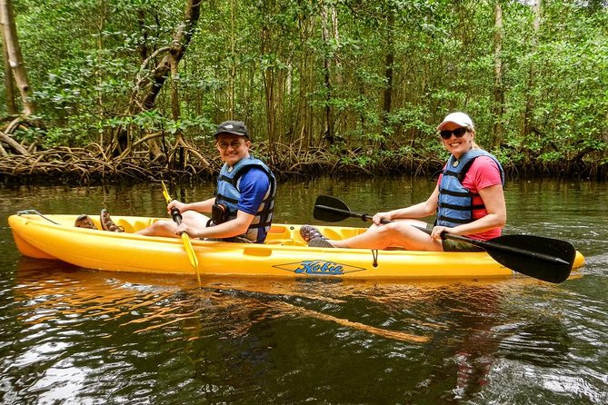 Private Kayaking in Los Haitises 4 Hours With Local Expert Guide. - Health and Safety Considerations