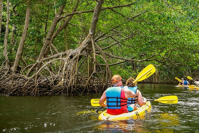 Private Kayaking in Los Haitises 4 Hours With Local Expert Guide. - Recommended Attire and Preparation