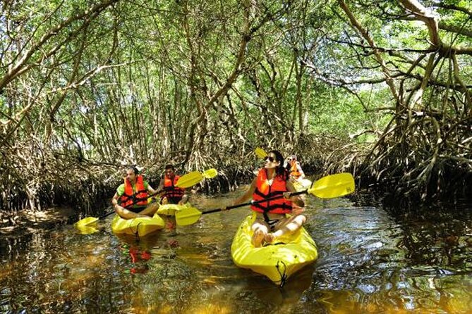 Private Kayaking in Los Haitises 4 Hours With Local Expert Guide. - Booking Your Adventure