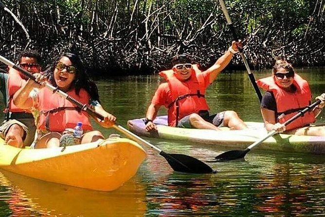 Private Kayaking in Los Haitises With Tour Guide From Caño Hondo - Overview of the Tour