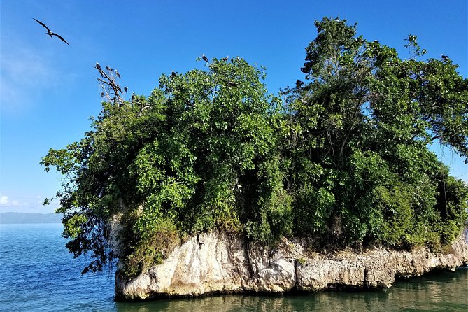 Private Kayaking in Los Haitises With Tour Guide From Caño Hondo - Participant Information and Requirements