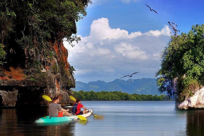 Private Kayaking Los Haitises National Park From Sabana De La Mar - Tour Itinerary and Highlights