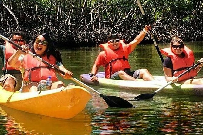Private Kayaking Los Haitises National Park From Sabana De La Mar - Tips for an Enjoyable Experience