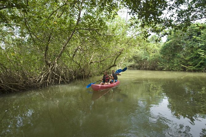 Private Kayaking Nature Tour of Los Haitises National Park - Questions About Your Stay