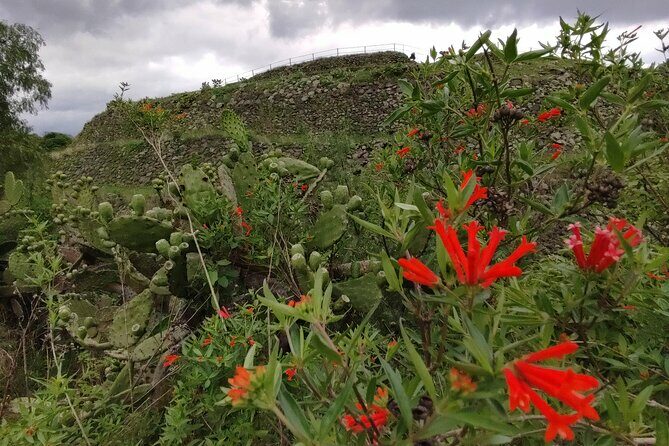 Private kayaks tour in Xochimilco & Cuicuilco pyramid - Authenticity and Guides