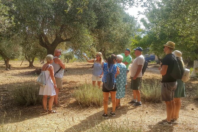 Private Kefalonian Olive Oil, Honey Tasting and Wine Tour - Reviews and Confirmation