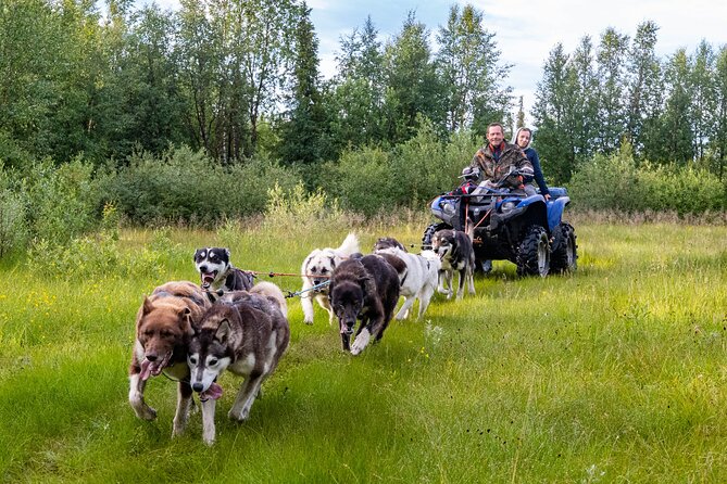 Private Kennel Visit and ATV Tour With the Huskies - Whats Included