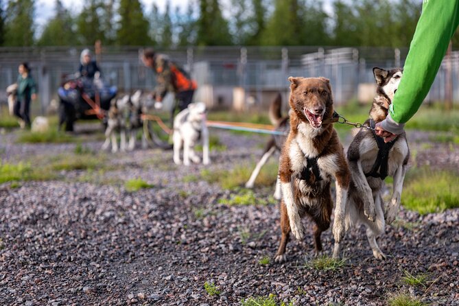 Private Kennel Visit and ATV Tour With the Huskies - Customer Reviews and Ratings