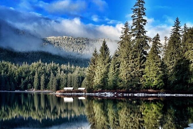 Private Ketchikan City Totems & Wildlife Van Tour - Booking and Cancellation