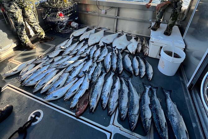 Private Ketchikan Halibut and Salmon Fishing Charter - Special Considerations