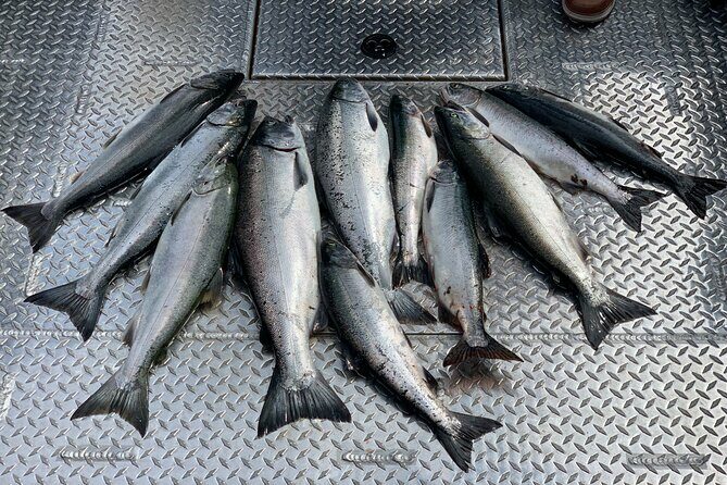 Private Ketchikan Wild Alaskan Salmon Fishing Trip - Key Points