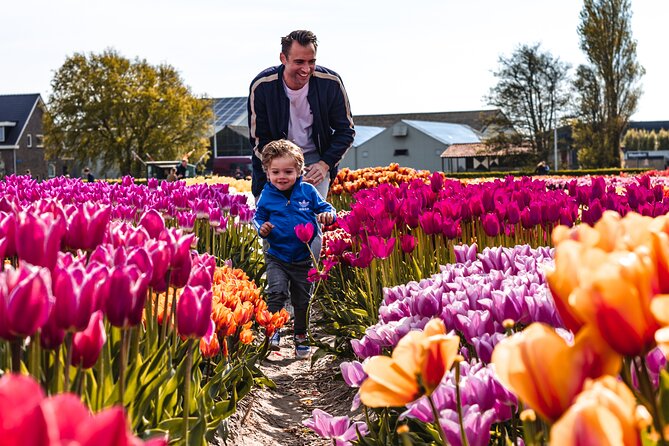 Private Keukenhof Gardens and Tulip Fields Tour From Amsterdam - Accessibility and Participation