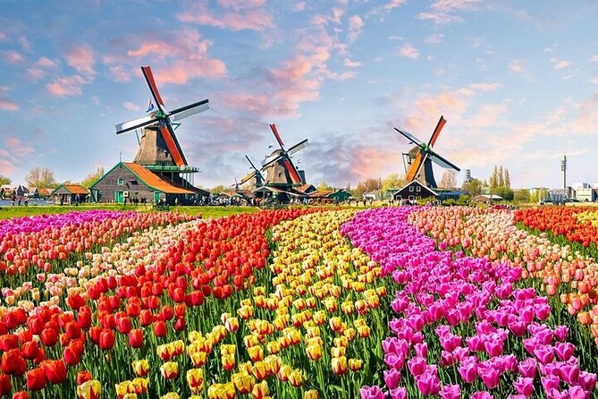 Private Keukenhof Tulip Fields & Flowers Sightseeing Tour From Rotterdam - Pickup and Accessibility Information