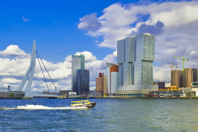 Private Keukenhof Tulip Fields & Flowers Sightseeing Tour From Rotterdam - Traveler Experiences and Ratings