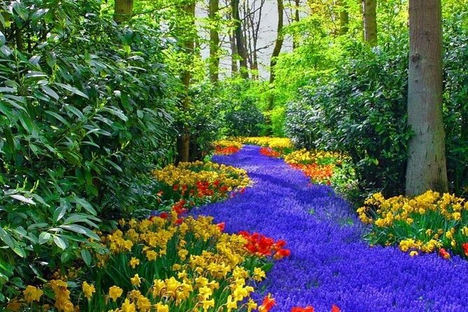 Private Keukenhof Tulip Fields & Flowers Sightseeing Tour From Rotterdam - Knowledgeable and Reliable Drivers
