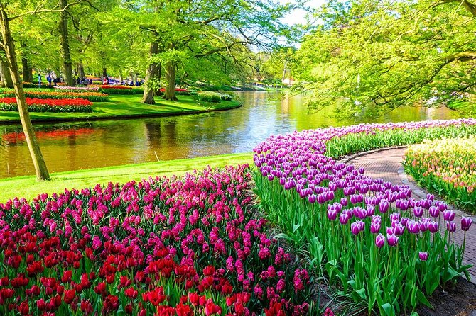 Private Keukenhof Tulip Fields Tour From Amsterdam - Tour Experience