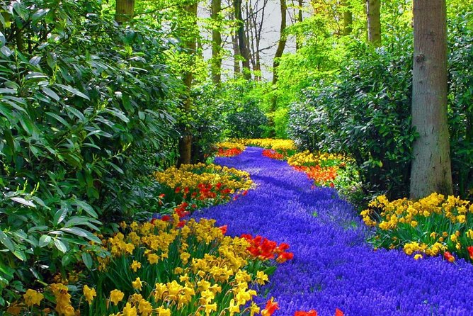 Private Keukenhof Tulip Fields Tour From Amsterdam - Vibrant Spring Bulbs and Flower Fields