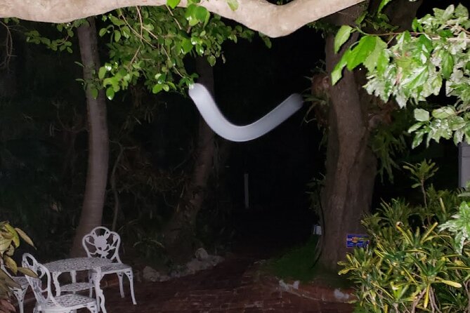 PRIVATE Key West Haunted History Walking Tour - Highlights of the Tour