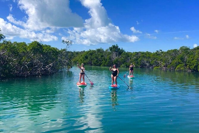 Private Key West Sandbar and Paddle by Boat - Meeting and End Point