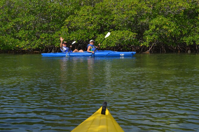 Private Key West Sandbar and Paddle by Boat - Requirements and Considerations