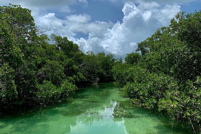 Private Key West Sandbar and Paddle by Boat - Relaxing on Floating Rafts