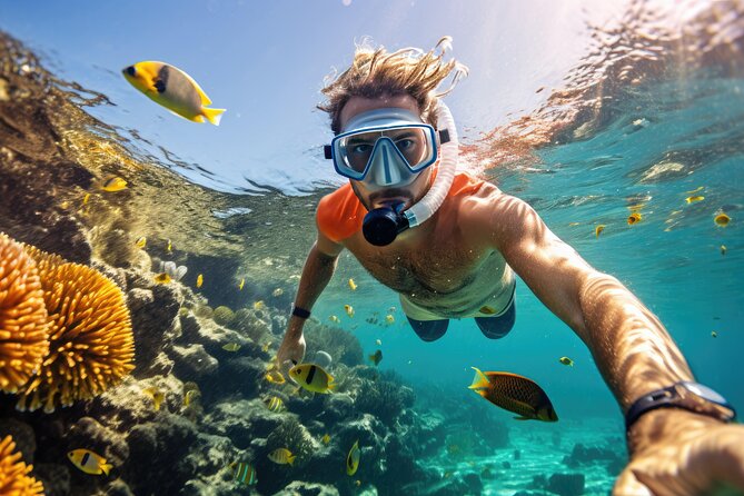 Private Key West Snorkeling Adventure - Pricing and Booking Information
