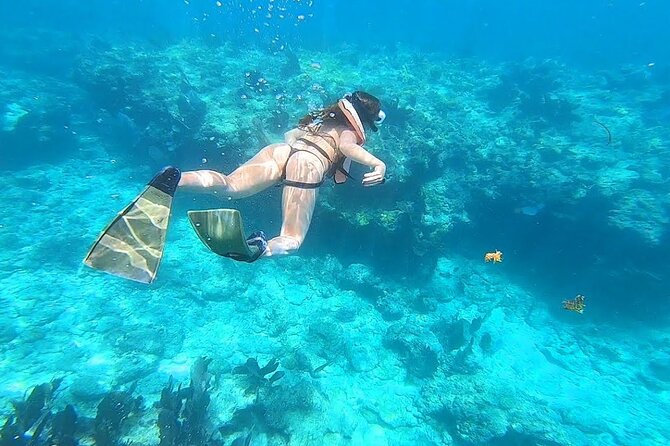 Private Key West Snorkeling Adventure - Meeting and Pickup Details