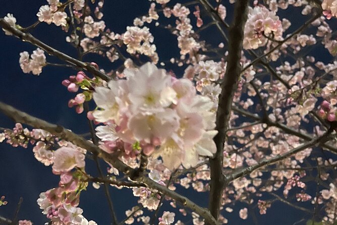 Private Kimono Cultural and Historical Walk in Kabukicho - Women-only Experience