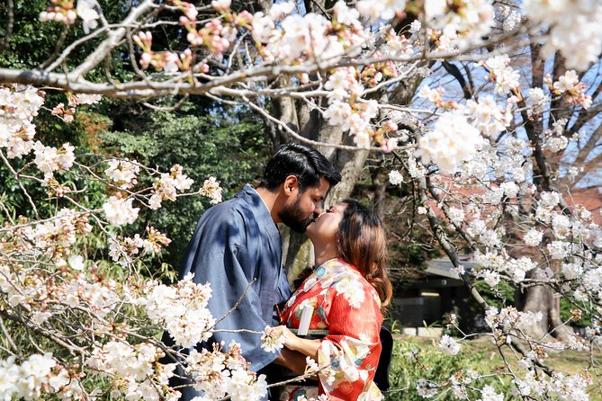 Private Kimono Photo Tour in Tokyo - Pricing and Inclusions