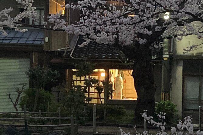 Private Kimono Stroll in Toyama City Possibly With a Shiba Inu - Bus Fare During the Tour