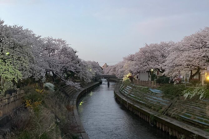 Private Kimono Stroll in Toyama City Possibly With a Shiba Inu - Participant Information
