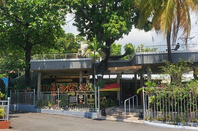 Private Kingston and Bob Marley Museum Tour from Ocho Rios - The Sum Up