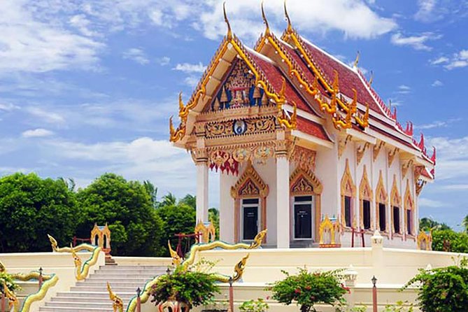 Private Ko Samui Island Tour With Air-Conditioned VIP Minivan - Customer Feedback